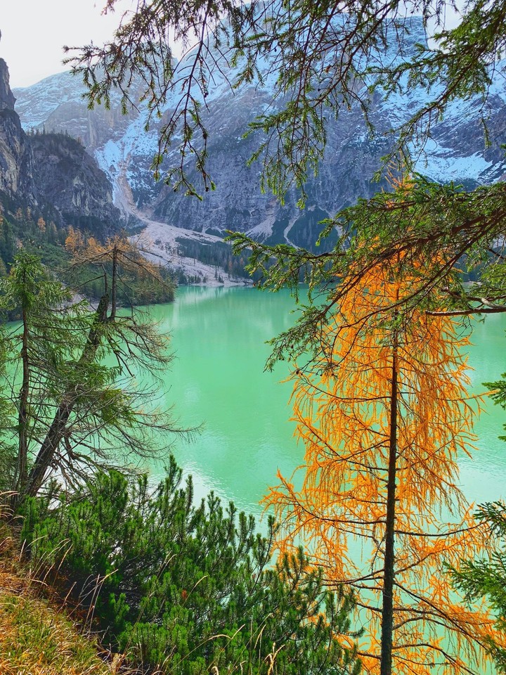lago