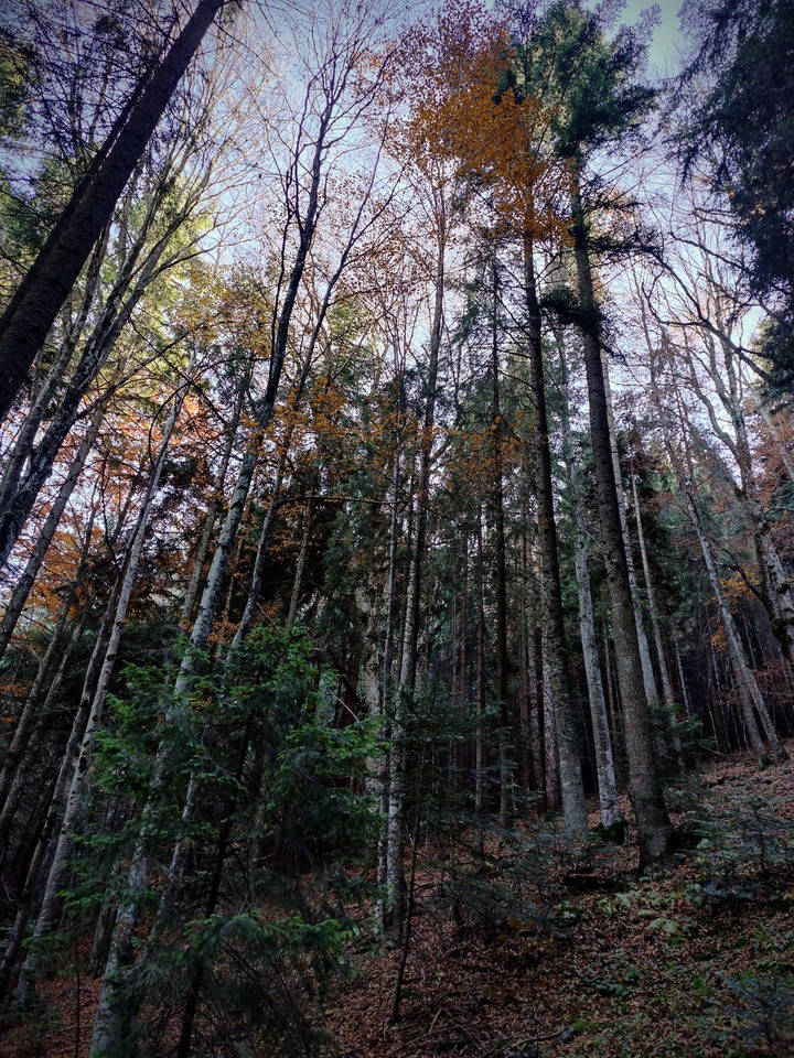 Red Lake Hiking