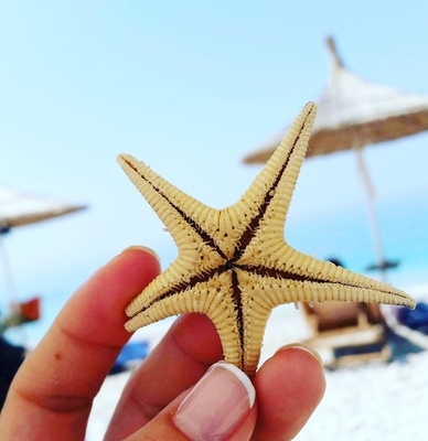 star