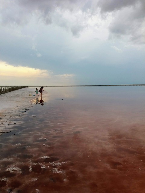 pink lake