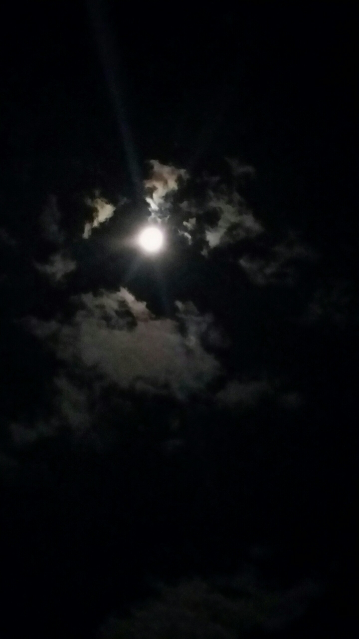 Night Sky