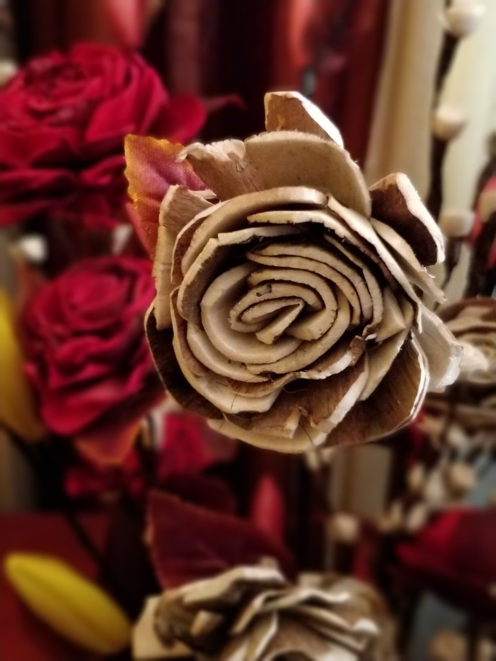 Roses