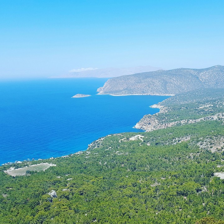 Rhodes