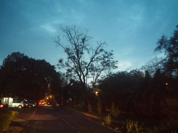 Back to Home