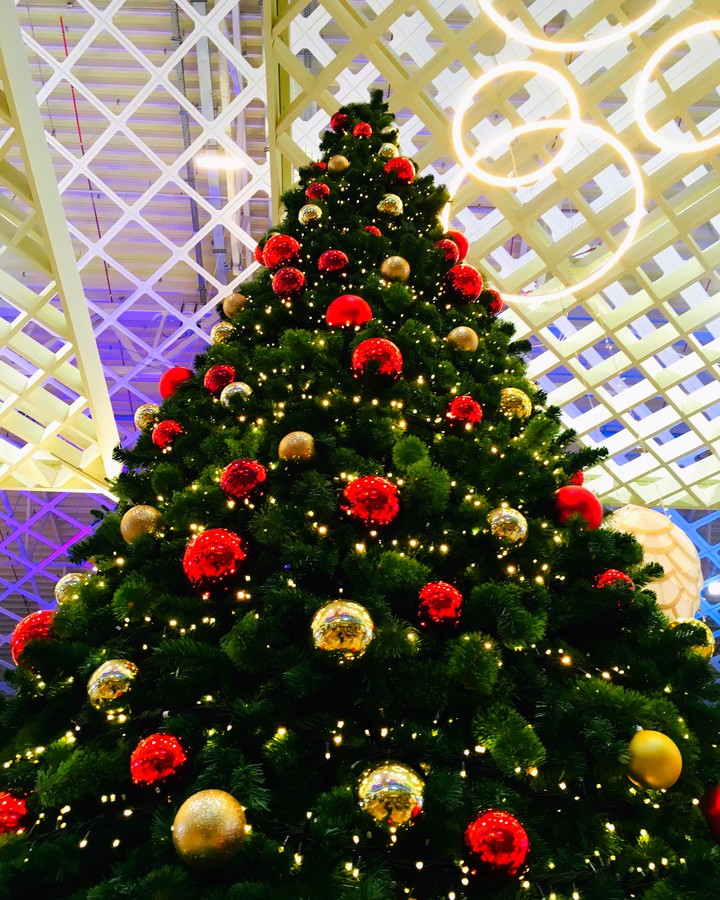 Merry Christmas!