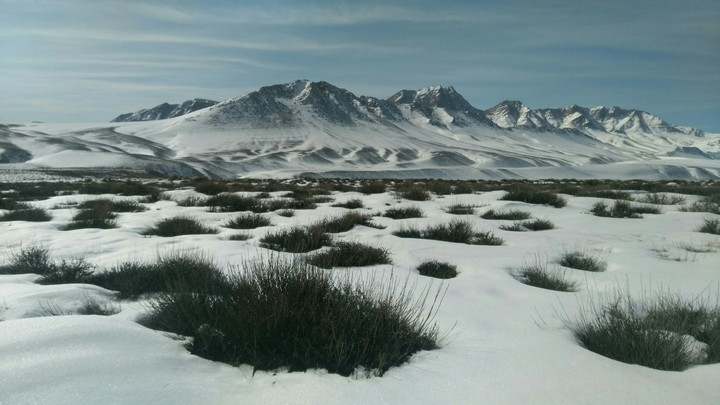 Sand land