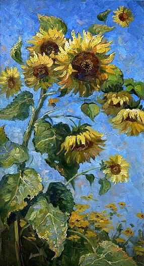 sunflower