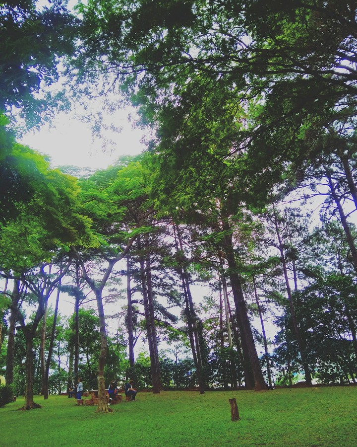Tranquilidade!
