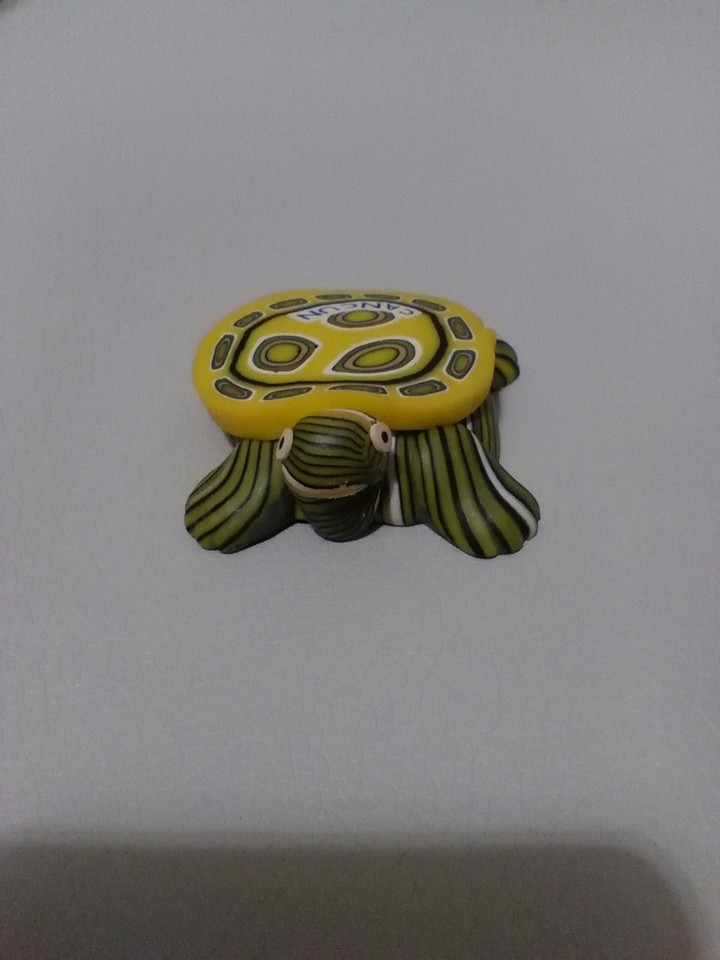 Iman tortuga