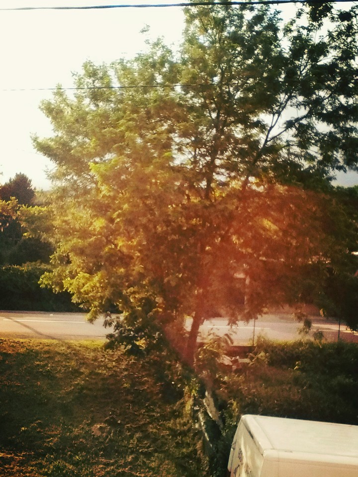 nature