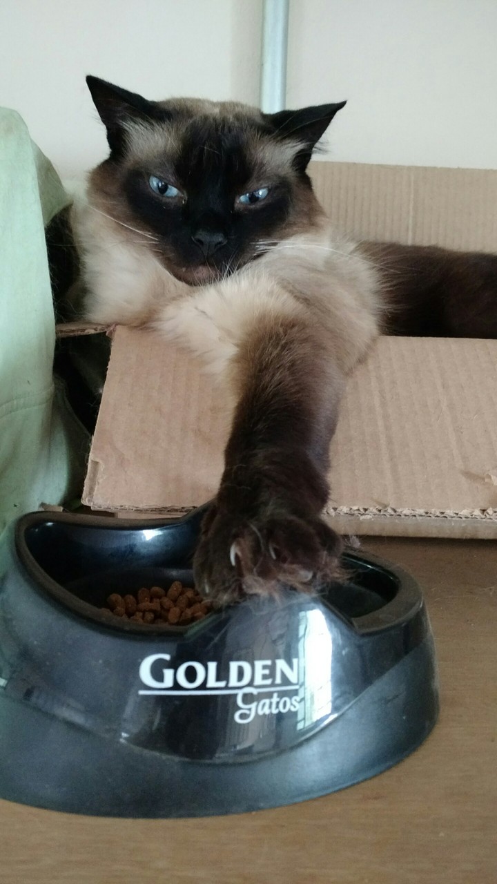My!