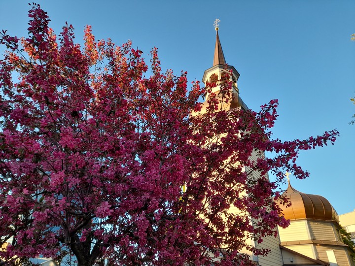 Orthodox Church