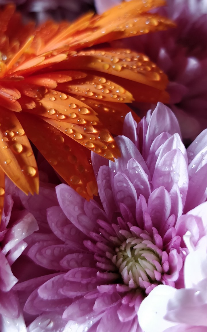 water drops