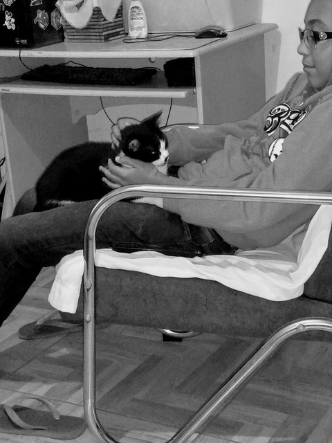 Humano e gata