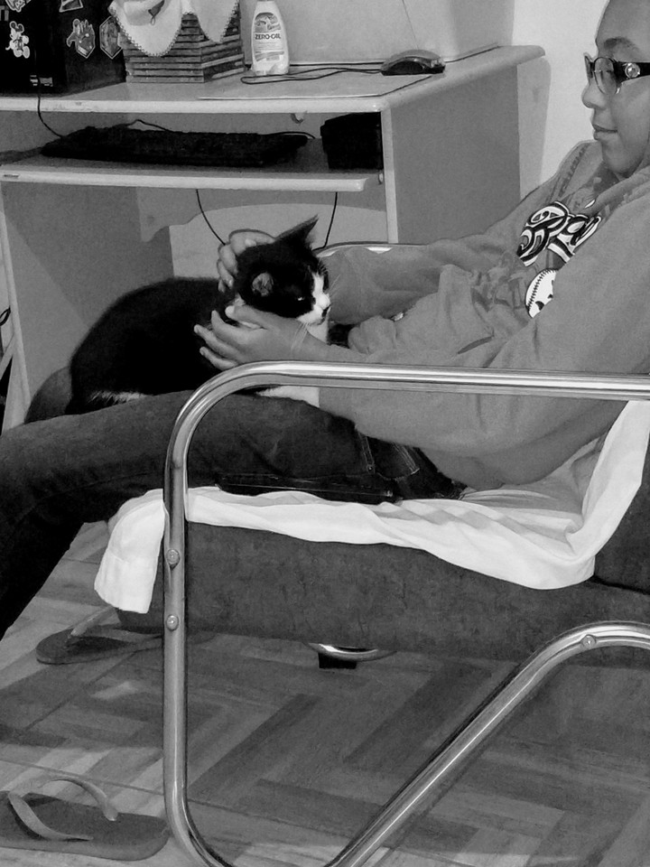 Humano e gata