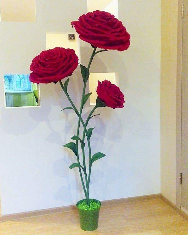 flores