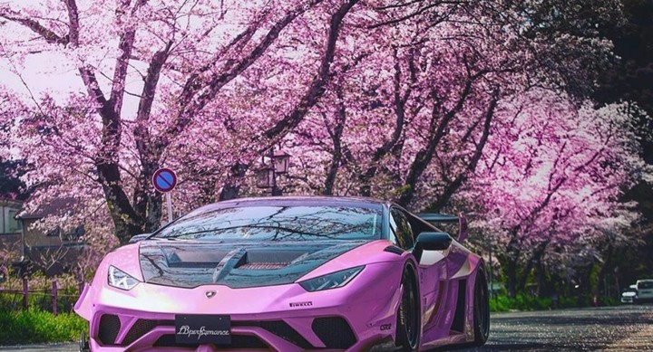Pink