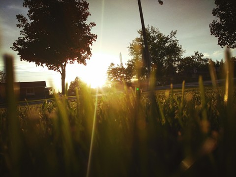 fonds d'écran evening, grass