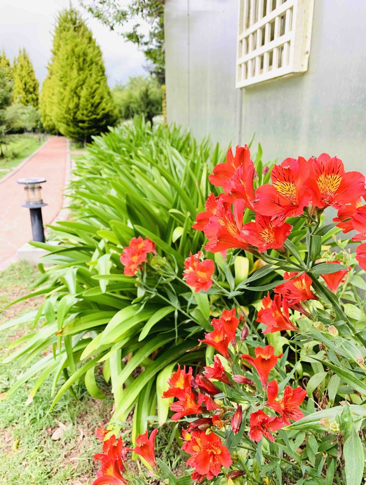 Fushoushan Farm