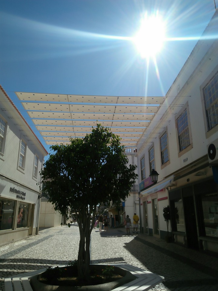 Sun and Shadow