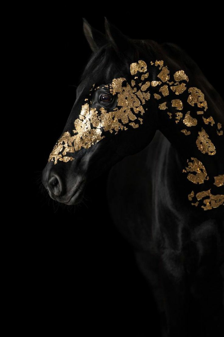gold and black