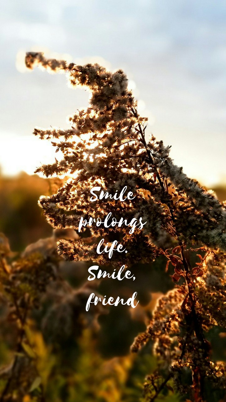 Quotes