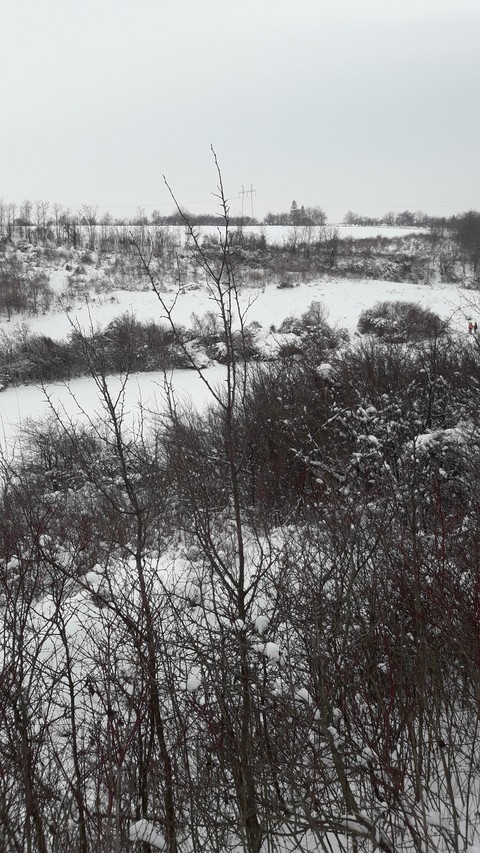 Nature ❄
