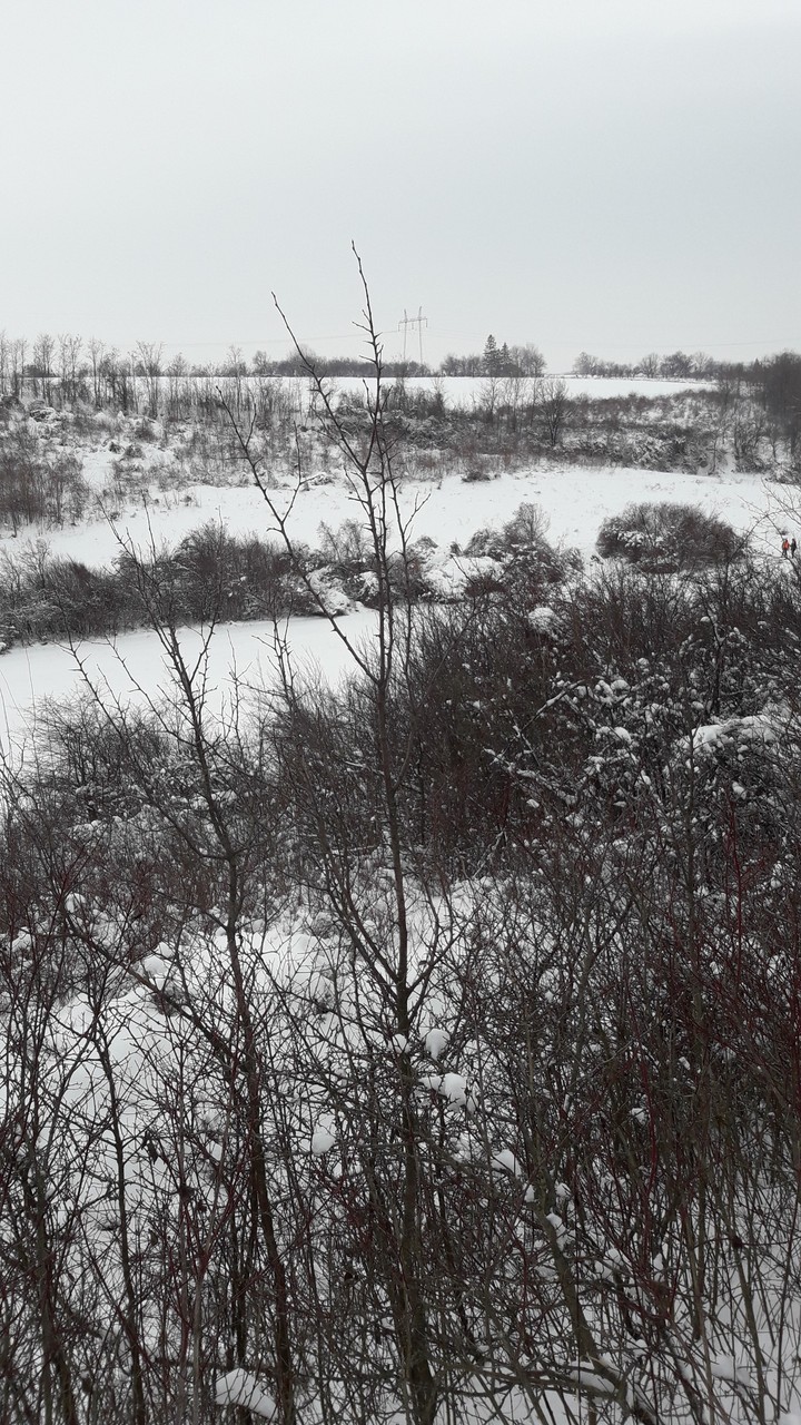 Nature ❄
