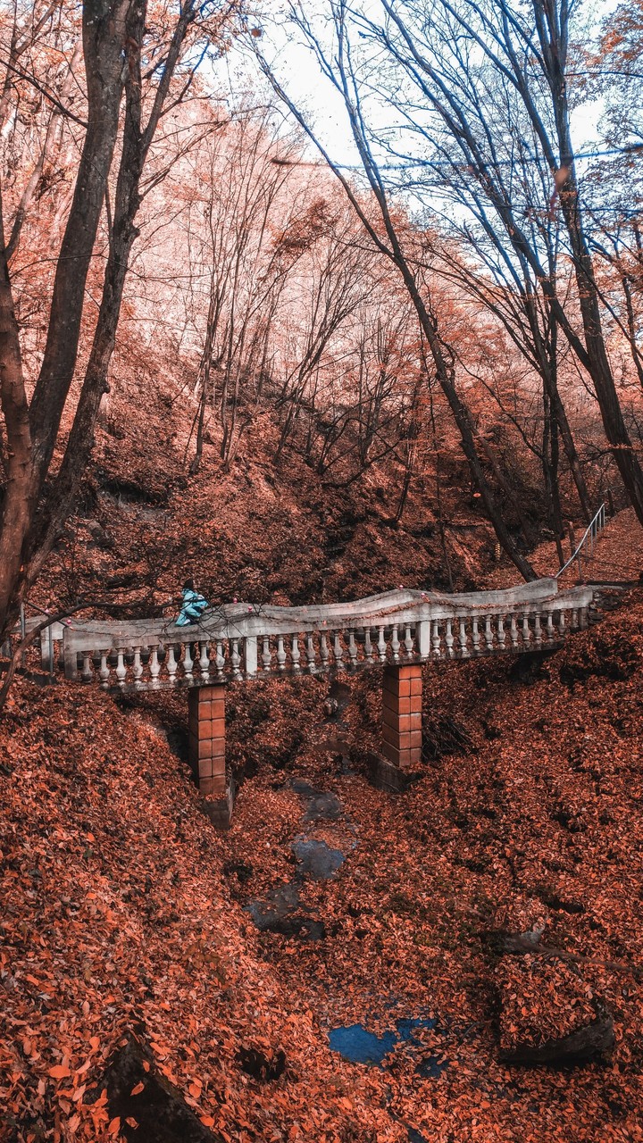 nature