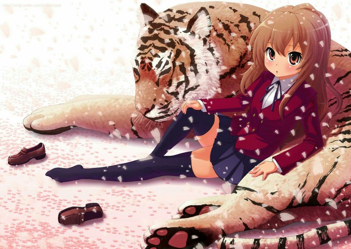 Taiga Aisaki