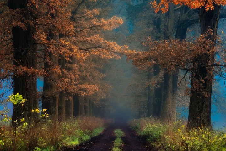 Beautiful Way