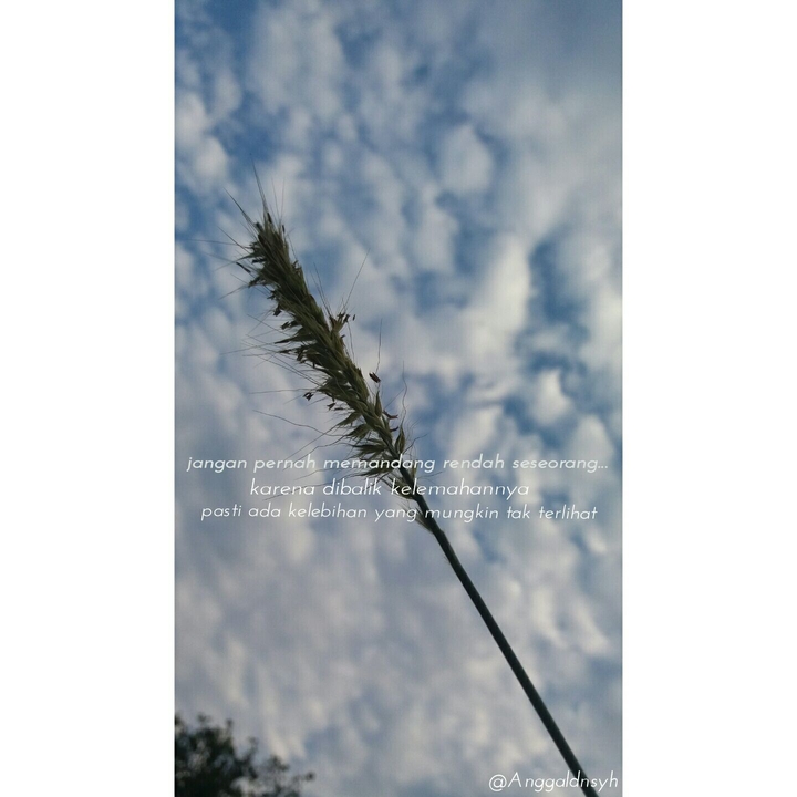 tumblr