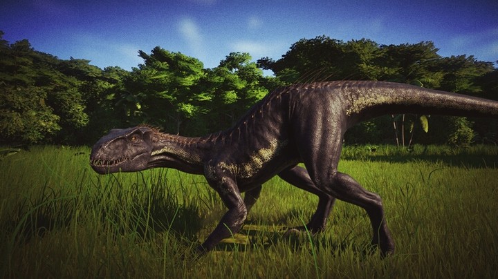 IndoRaptor