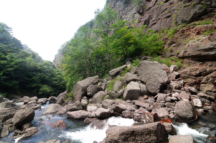 Scenics
