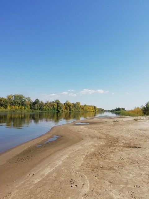 Nature. Sand. Beach
