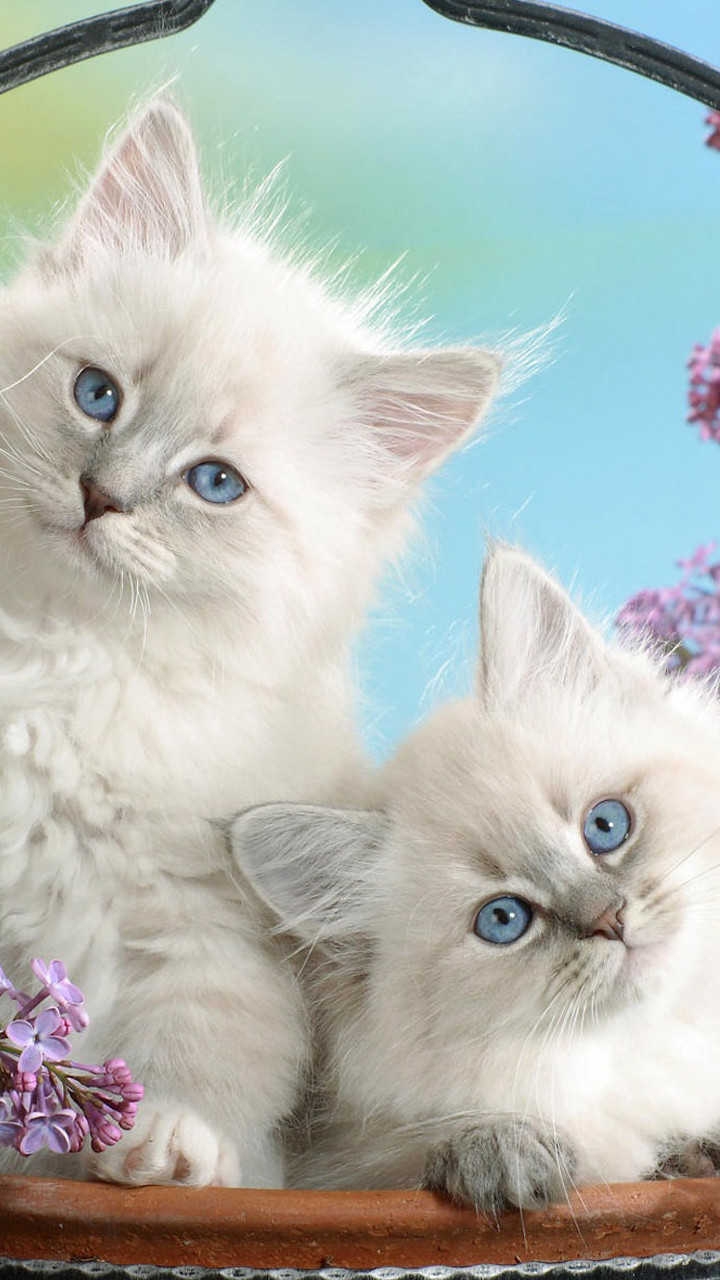 cute