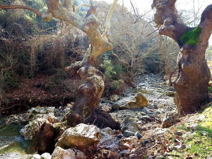 Nature