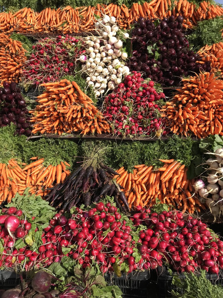 organic vegetables at north of Jordan ??