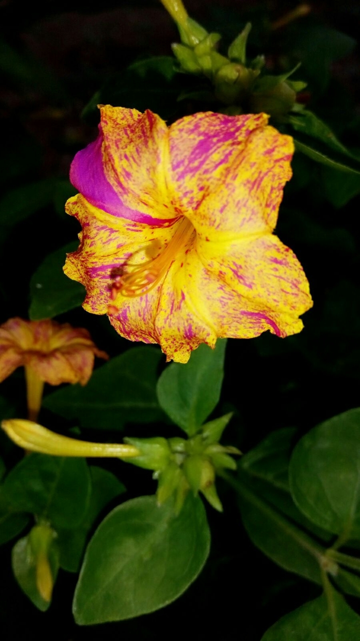 my click