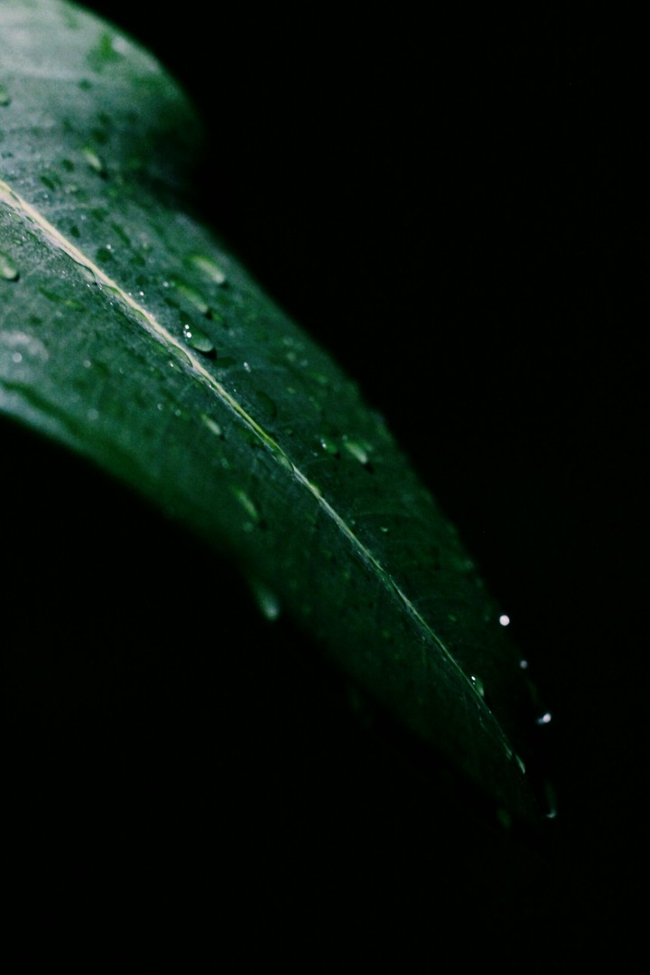 Drops