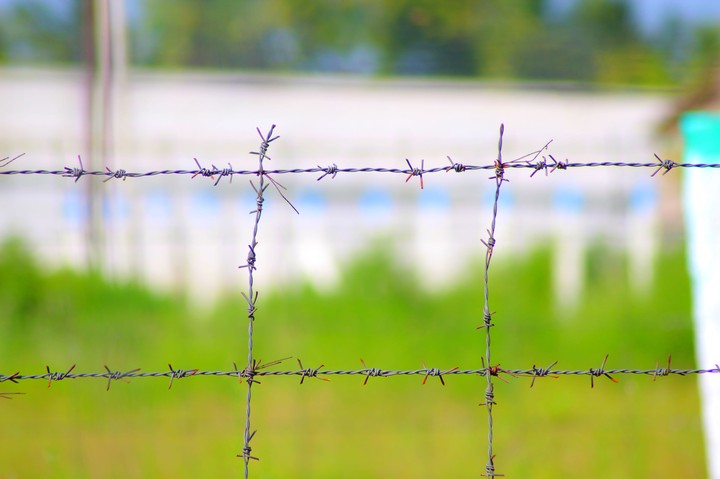 Mullin wire fence