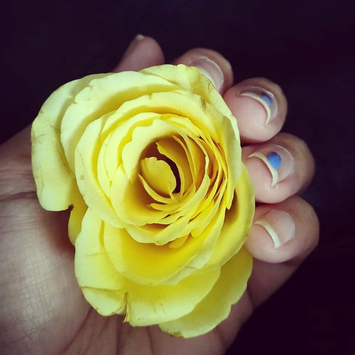 Hand of the Beloved