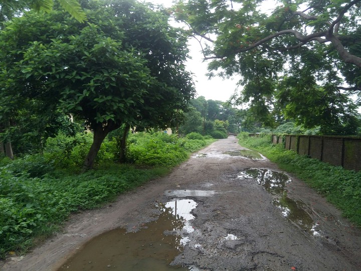 freshness after the rain