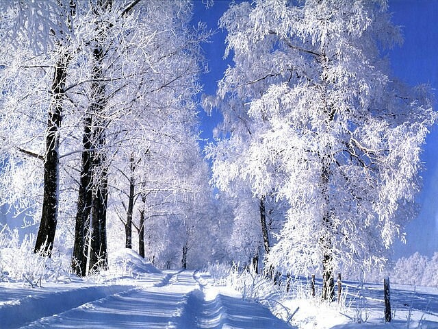 Winter