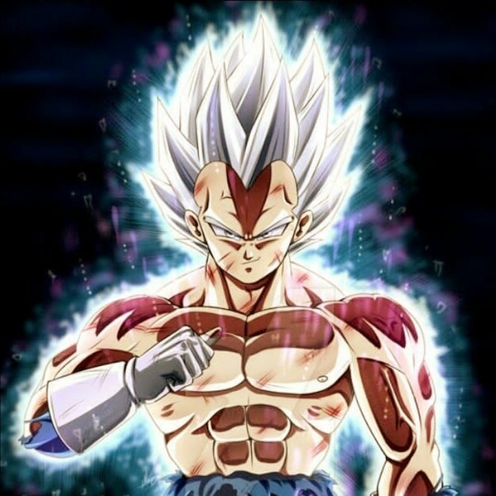 VEGETA THE PRINCE