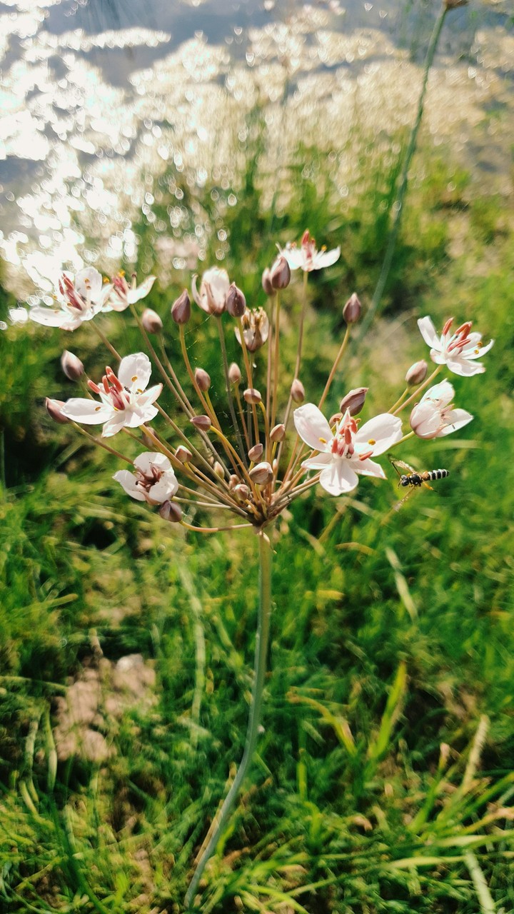 прекрасная природа