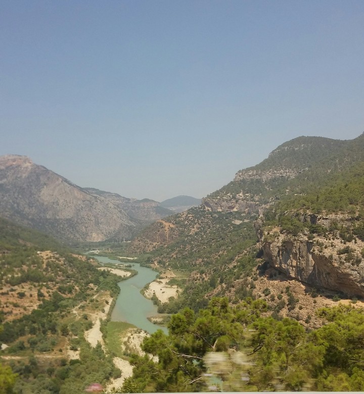 Yeşil