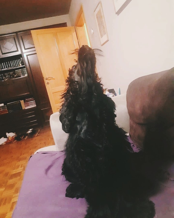 auuu