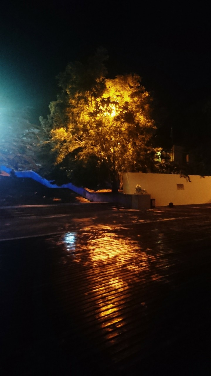 night