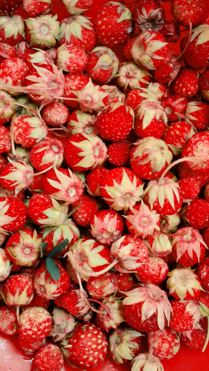 strawberry